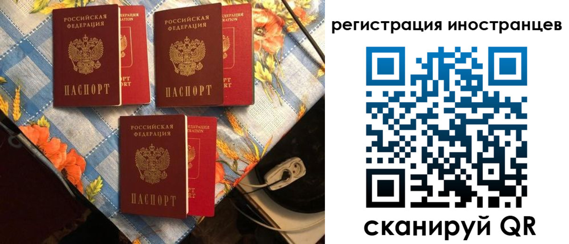 прописка поиск в Сафоново