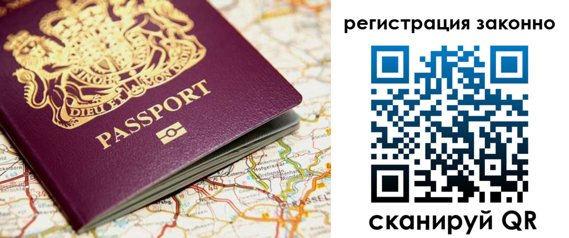 прописка поиск в Сафоново